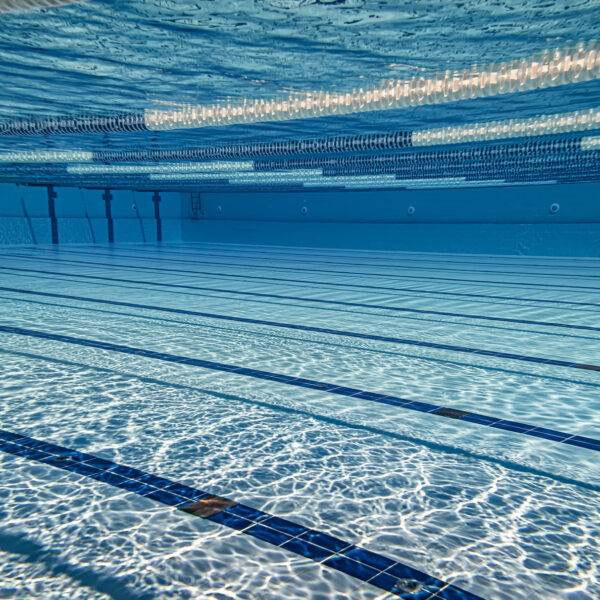 olympic-swimming-pool-under-water-background-2023-11-27-05-17-18-utc